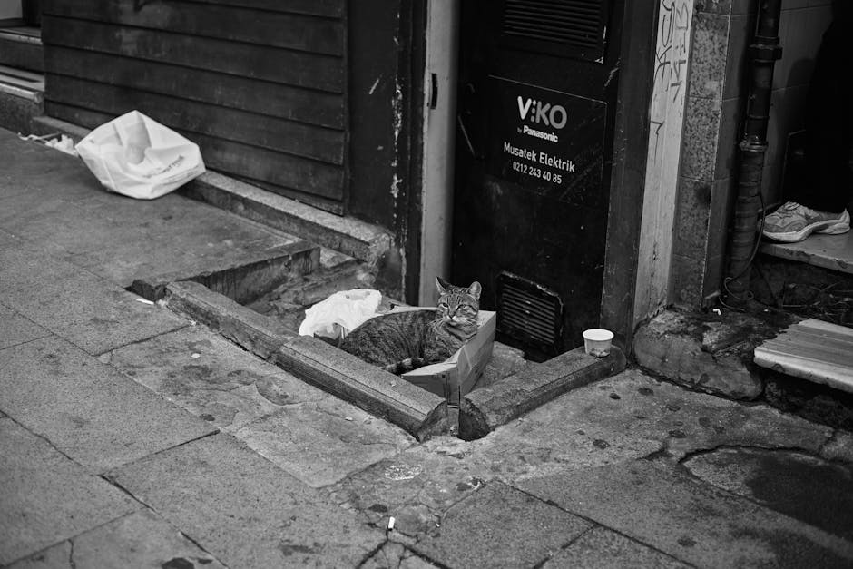 How to Pick Local Animal Nutritionists